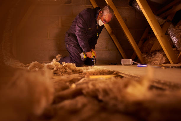 Best Local Insulation Services  in Jonesboro, IN